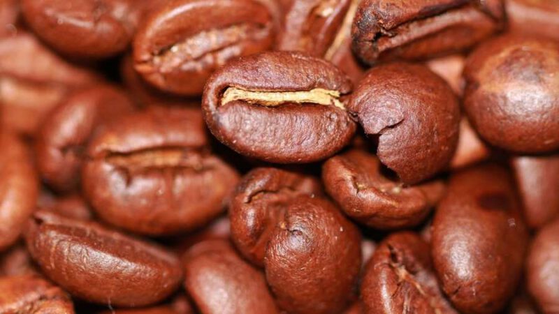 Kaffee – heilsames Lebenselixier