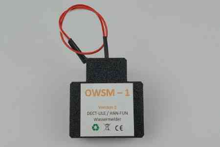 OWSM-1 (GO)